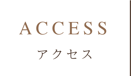 ACCESS